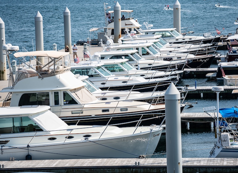 Photo for Sabre and Back Cove Rendezvous